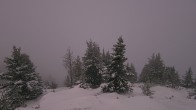 Archiv Foto Webcam Panorama Rock Isle Lake 05:00