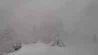 Archiv Foto Webcam Panorama Rock Isle Lake 11:00