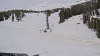 Archiv Foto Webcam Marmot Basin Mid Mountain, Alberta 11:00