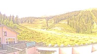 Archiv Foto Webcam Marmot Basin Mid Mountain, Alberta 11:00