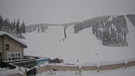Archiv Foto Webcam Marmot Basin Mid Mountain, Alberta 11:00