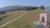Archiv Foto Webcam Talstation Marmot Basin, Alberta 11:00