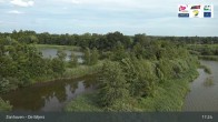 Archiv Foto Webcam Zonhoven - De Wijers 16:00