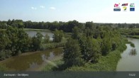 Archived image Webcam De Wijers in Zonhoven 12:00