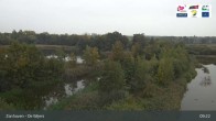 Archiv Foto Webcam Zonhoven - De Wijers 08:00