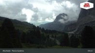 Archiv Foto Webcam Passo Gardena (Alta Badia) 08:00