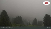 Archiv Foto Webcam Passo Gardena (Alta Badia) 18:00