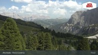 Archiv Foto Webcam Passo Gardena (Alta Badia) 14:00