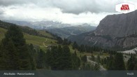 Archiv Foto Webcam Passo Gardena (Alta Badia) 14:00