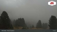 Archiv Foto Webcam Passo Gardena (Alta Badia) 10:00
