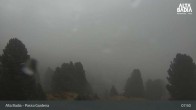 Archiv Foto Webcam Passo Gardena (Alta Badia) 07:00
