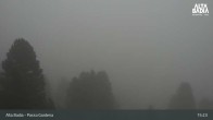 Archiv Foto Webcam Passo Gardena (Alta Badia) 14:00
