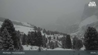 Archiv Foto Webcam Passo Gardena (Alta Badia) 08:00