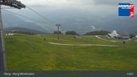 Archived image Webcam Olang Mid Station 14:00