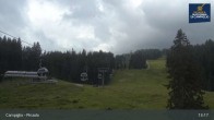 Archiv Foto Webcam Campiglio - Pinzolo 12:00