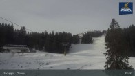 Archiv Foto Webcam Campiglio - Pinzolo 08:00