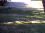 Archiv Foto Webcam Wiesensteig Bläsiberg 07:00