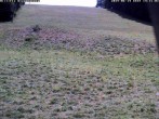 Archiv Foto Webcam Wiesensteig Bläsiberg 13:00