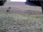 Archiv Foto Webcam Wiesensteig Bläsiberg 15:00