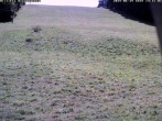 Archiv Foto Webcam Wiesensteig Bläsiberg 13:00