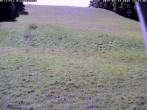 Archiv Foto Webcam Wiesensteig Bläsiberg 11:00