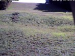 Archiv Foto Webcam Wiesensteig Bläsiberg 15:00