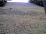 Archiv Foto Webcam Wiesensteig Bläsiberg 09:00