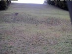 Archiv Foto Webcam Wiesensteig Bläsiberg 15:00