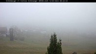 Archiv Foto Webcam Neuschönau, Bayerischer Wald 07:00