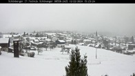 Archived image Webcam Neuschönau in the Bavarian Forest 13:00