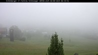 Archiv Foto Webcam Neuschönau, Bayerischer Wald 05:00