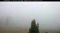 Archiv Foto Webcam Neuschönau, Bayerischer Wald 05:00