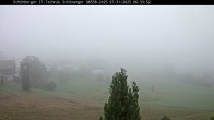 Archived image Webcam Neuschönau in the Bavarian Forest 05:00