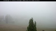Archived image Webcam Neuschönau in the Bavarian Forest 06:00