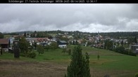 Archived image Webcam Neuschönau in the Bavarian Forest 11:00