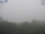Archiv Foto Webcam Primda Pfraumberg Panaorama 06:00