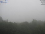 Archiv Foto Webcam Primda Pfraumberg Panaorama 08:00