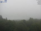 Archiv Foto Webcam Primda Pfraumberg Panaorama 08:00