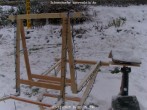 Archived image Webcam Snowcam in Bärenfels 15:00