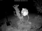 Archived image Webcam Snowcam in Bärenfels 23:00
