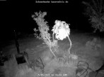 Archived image Webcam Snowcam in Bärenfels 01:00