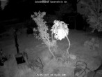 Archived image Webcam Snowcam in Bärenfels 03:00