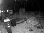 Archived image Webcam Snowcam in Bärenfels 21:00