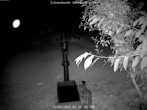 Archived image Webcam Snowcam in Bärenfels 23:00