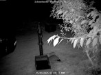 Archiv Foto Webcam Kurort Bärenfels - Schneemesser 01:00