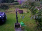 Archiv Foto Webcam Kurort Bärenfels - Schneemesser 05:00
