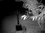 Archiv Foto Webcam Kurort Bärenfels - Schneemesser 23:00