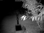 Archiv Foto Webcam Kurort Bärenfels - Schneemesser 03:00