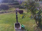 Archiv Foto Webcam Kurort Bärenfels - Schneemesser 09:00
