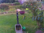 Archiv Foto Webcam Kurort Bärenfels - Schneemesser 17:00